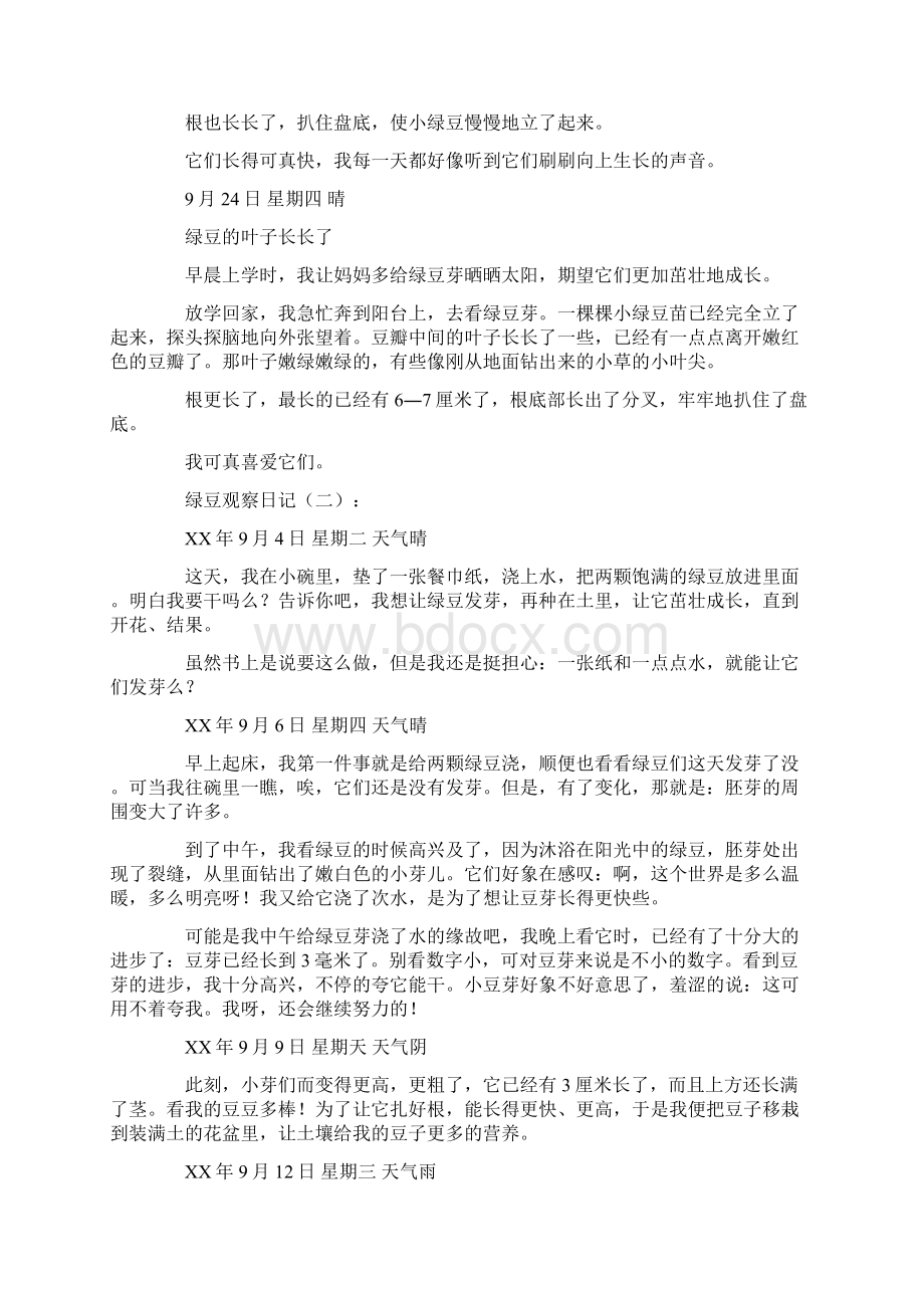 绿豆观察日记30篇日记完整版.docx_第2页