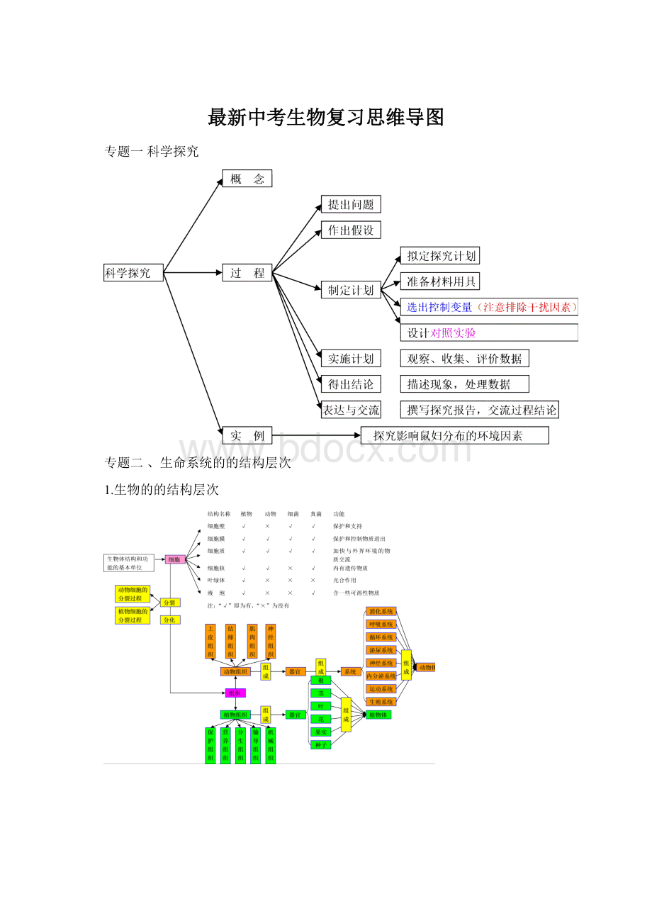 最新中考生物复习思维导图.docx