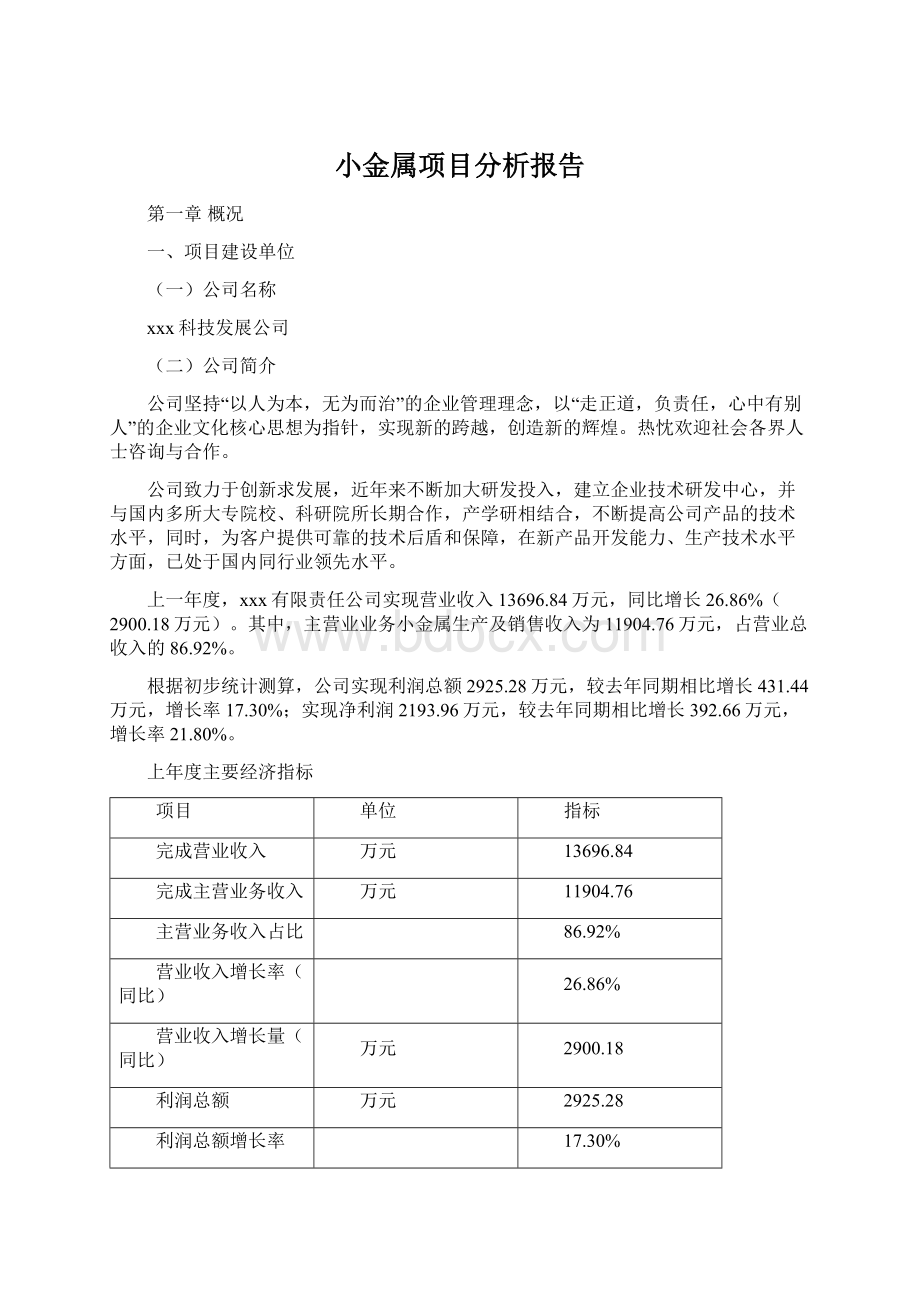 小金属项目分析报告Word下载.docx_第1页