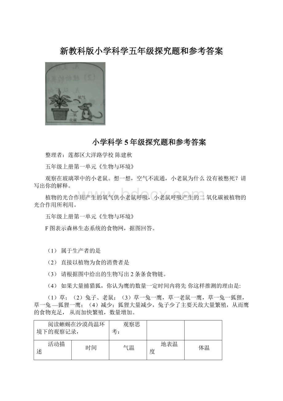 新教科版小学科学五年级探究题和参考答案Word文档格式.docx_第1页