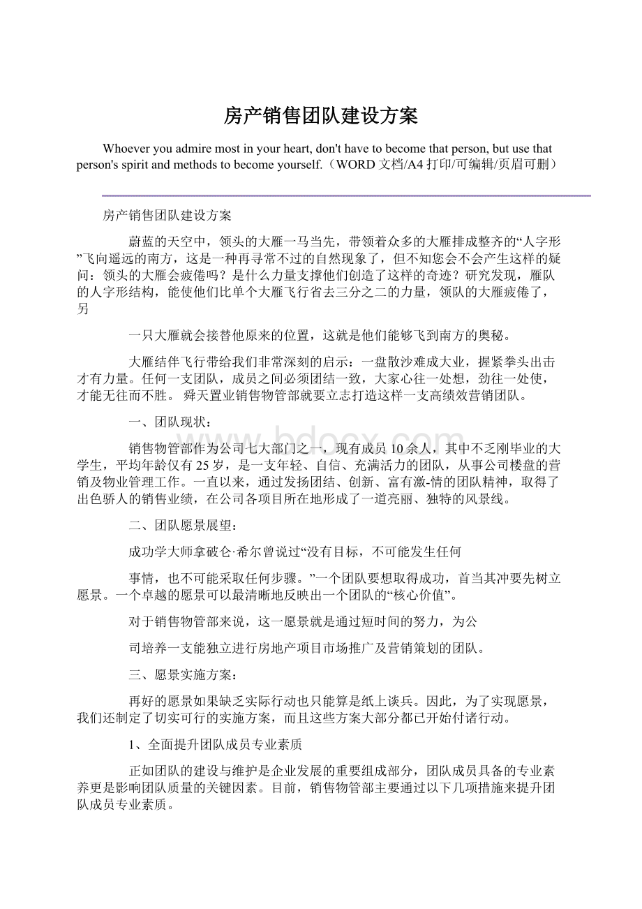 房产销售团队建设方案.docx_第1页