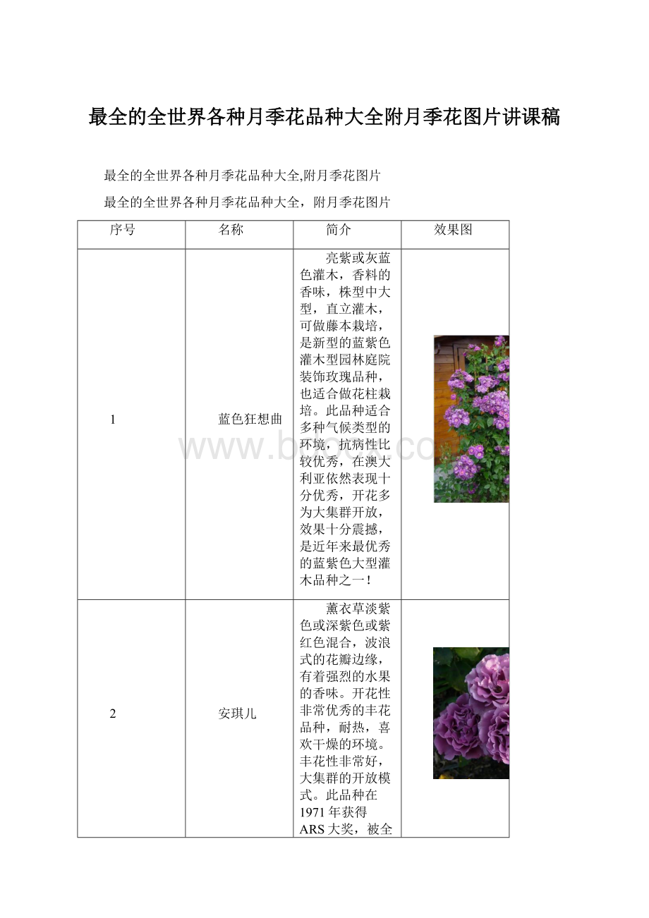 最全的全世界各种月季花品种大全附月季花图片讲课稿.docx