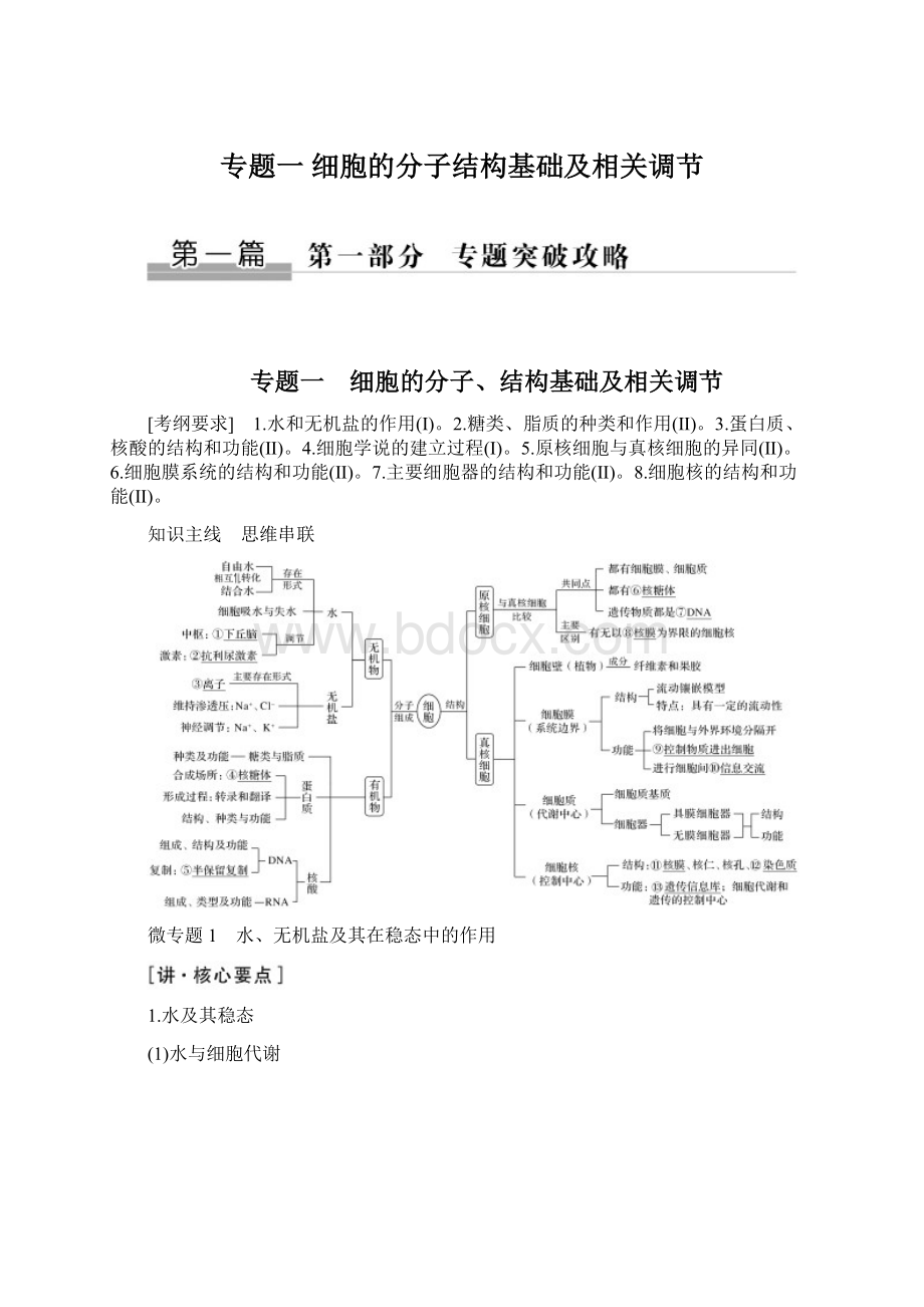 专题一 细胞的分子结构基础及相关调节Word格式.docx_第1页