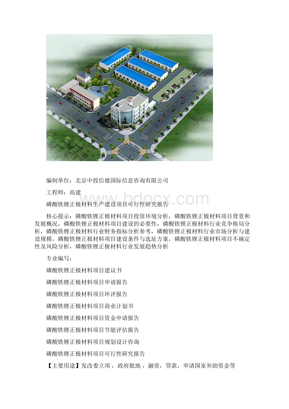 磷酸铁锂正极材料生产建设项目可行性研究报告Word格式.docx_第2页