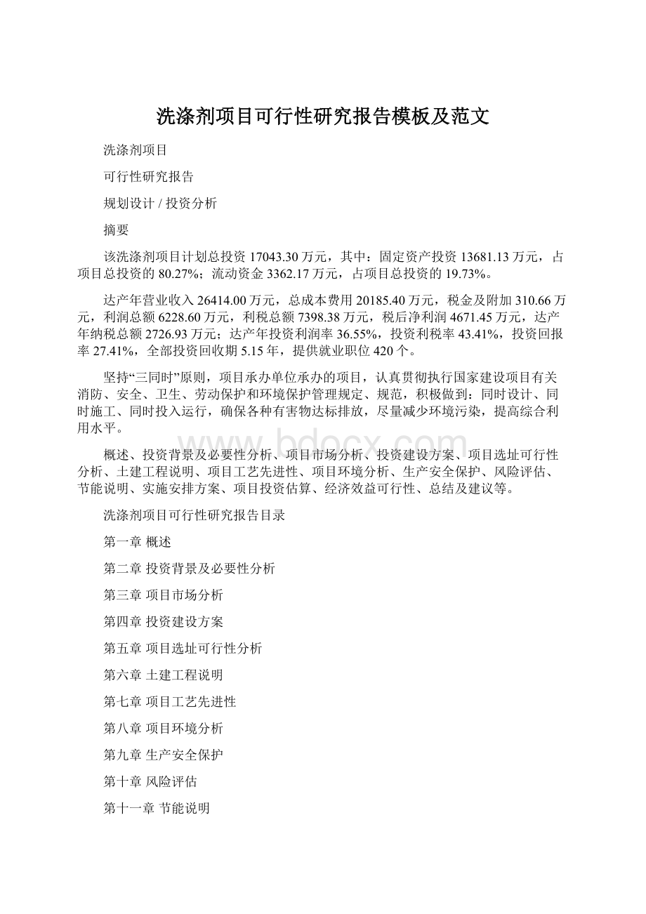 洗涤剂项目可行性研究报告模板及范文.docx