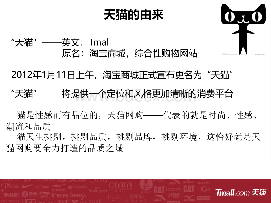 天猫电商案例分析PPT格式课件下载.ppt_第3页