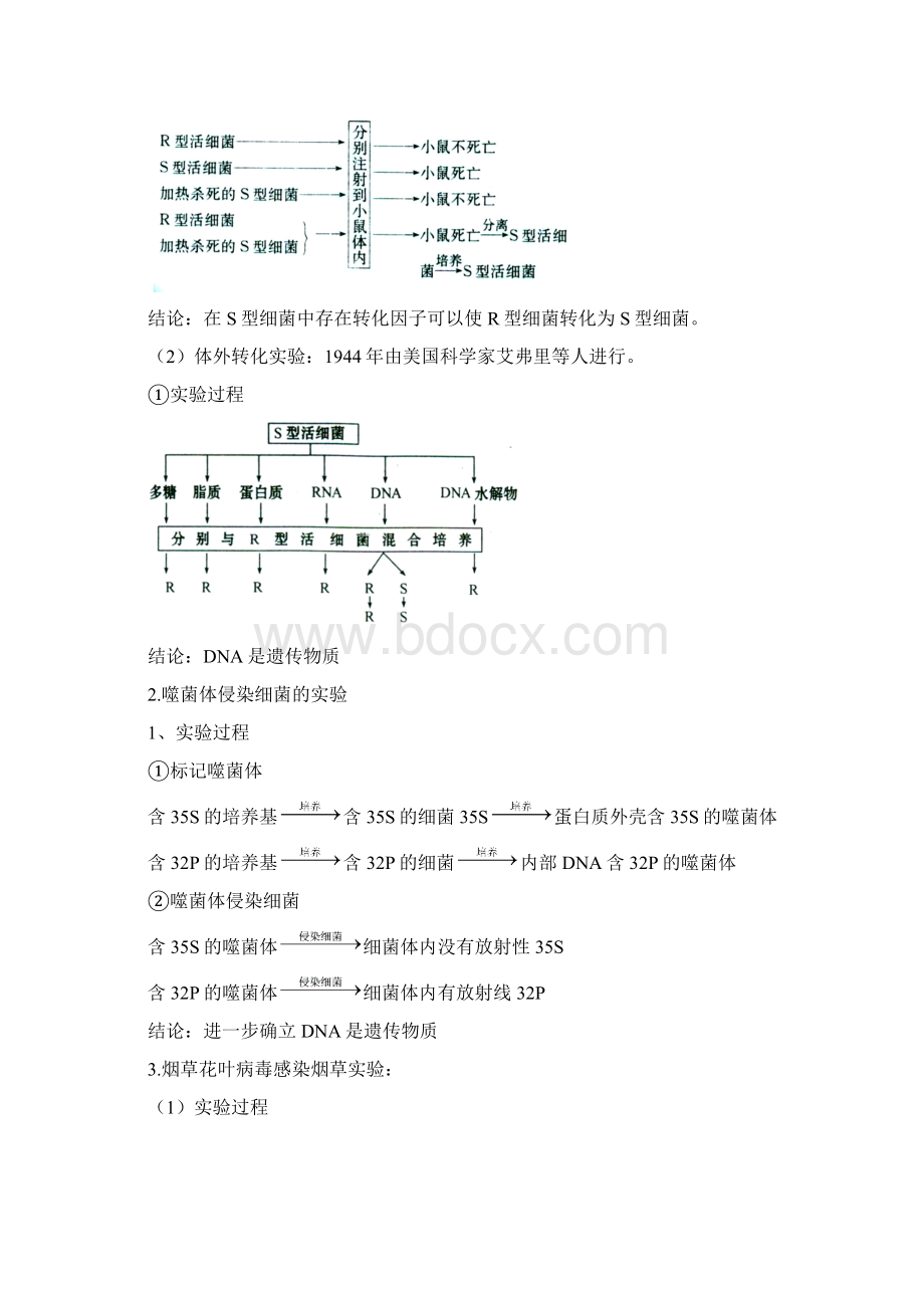 高考生物考前回扣遗传的分子基础Word格式文档下载.docx_第2页