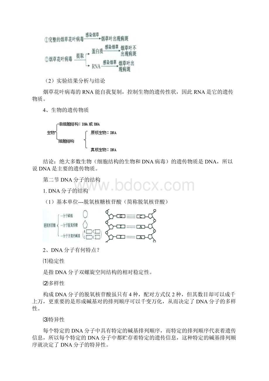 高考生物考前回扣遗传的分子基础Word格式文档下载.docx_第3页