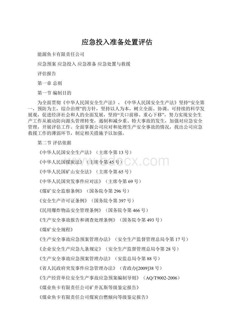 应急投入准备处置评估Word格式文档下载.docx_第1页