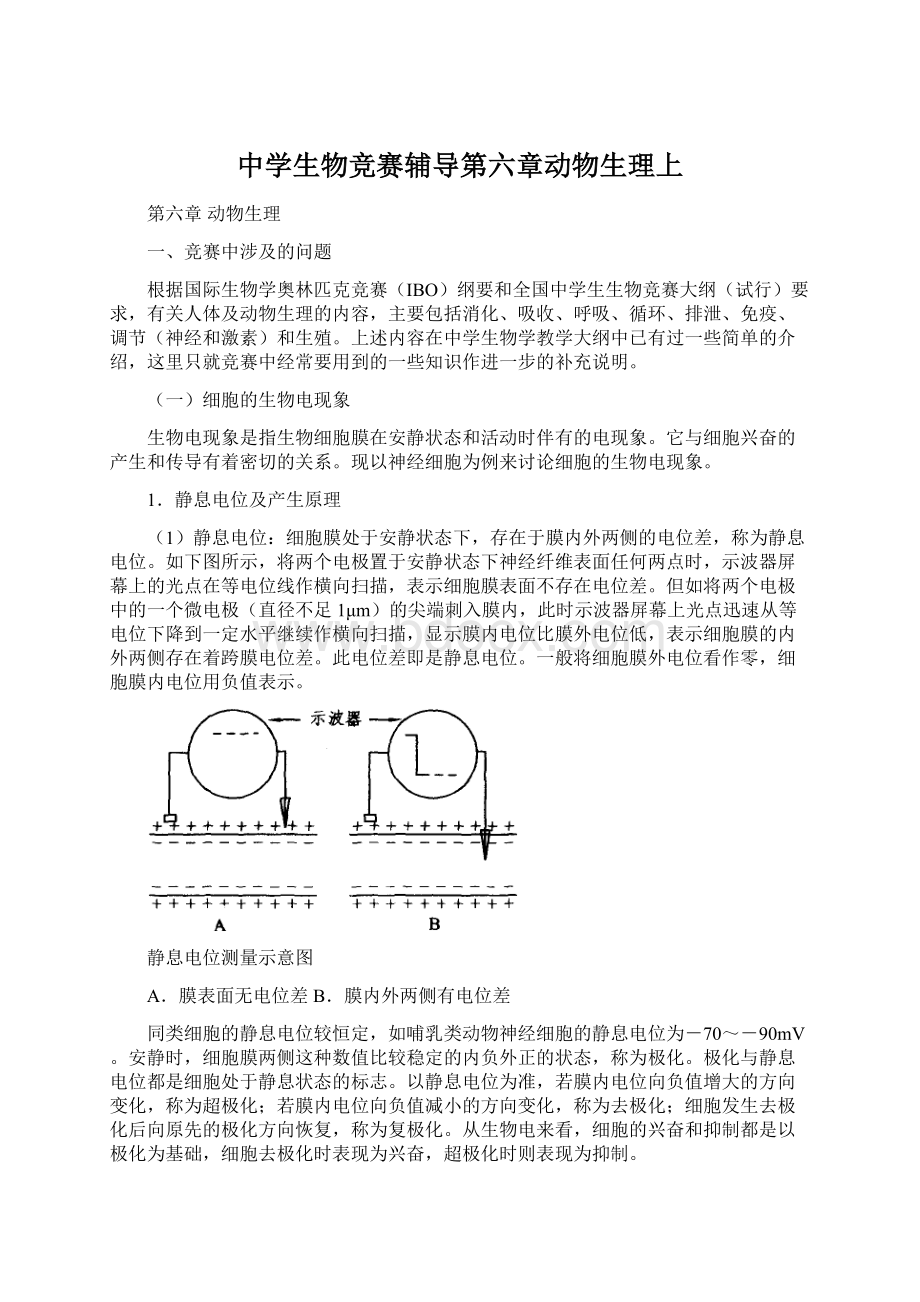 中学生物竞赛辅导第六章动物生理上Word文档下载推荐.docx