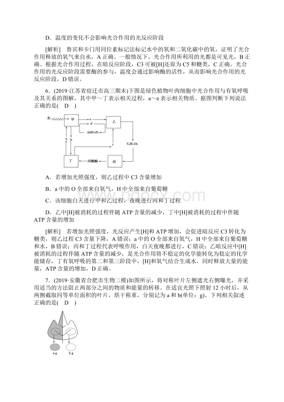 届 二轮光合作用与呼吸作用 专题卷Word格式文档下载.docx_第3页