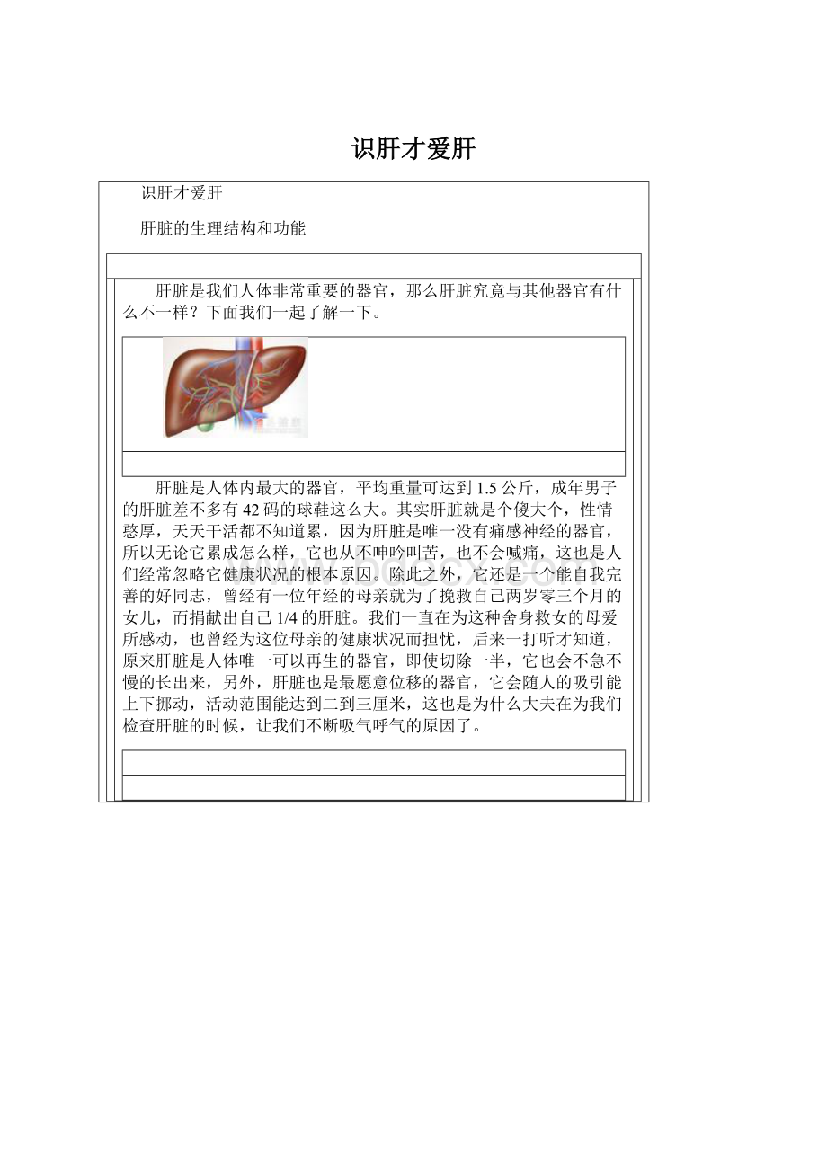 识肝才爱肝Word文档格式.docx