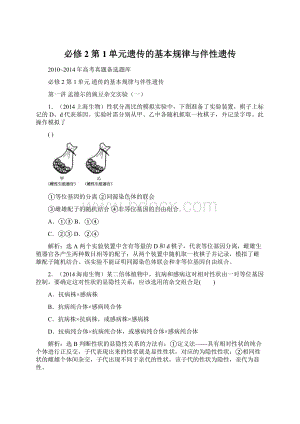 必修2第1单元遗传的基本规律与伴性遗传Word文档下载推荐.docx