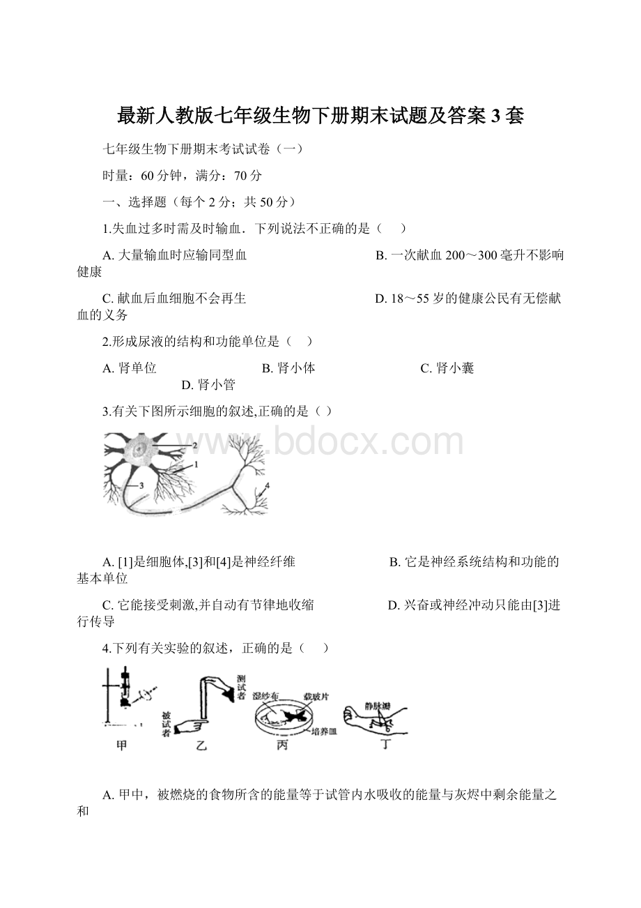 最新人教版七年级生物下册期末试题及答案3套Word格式.docx