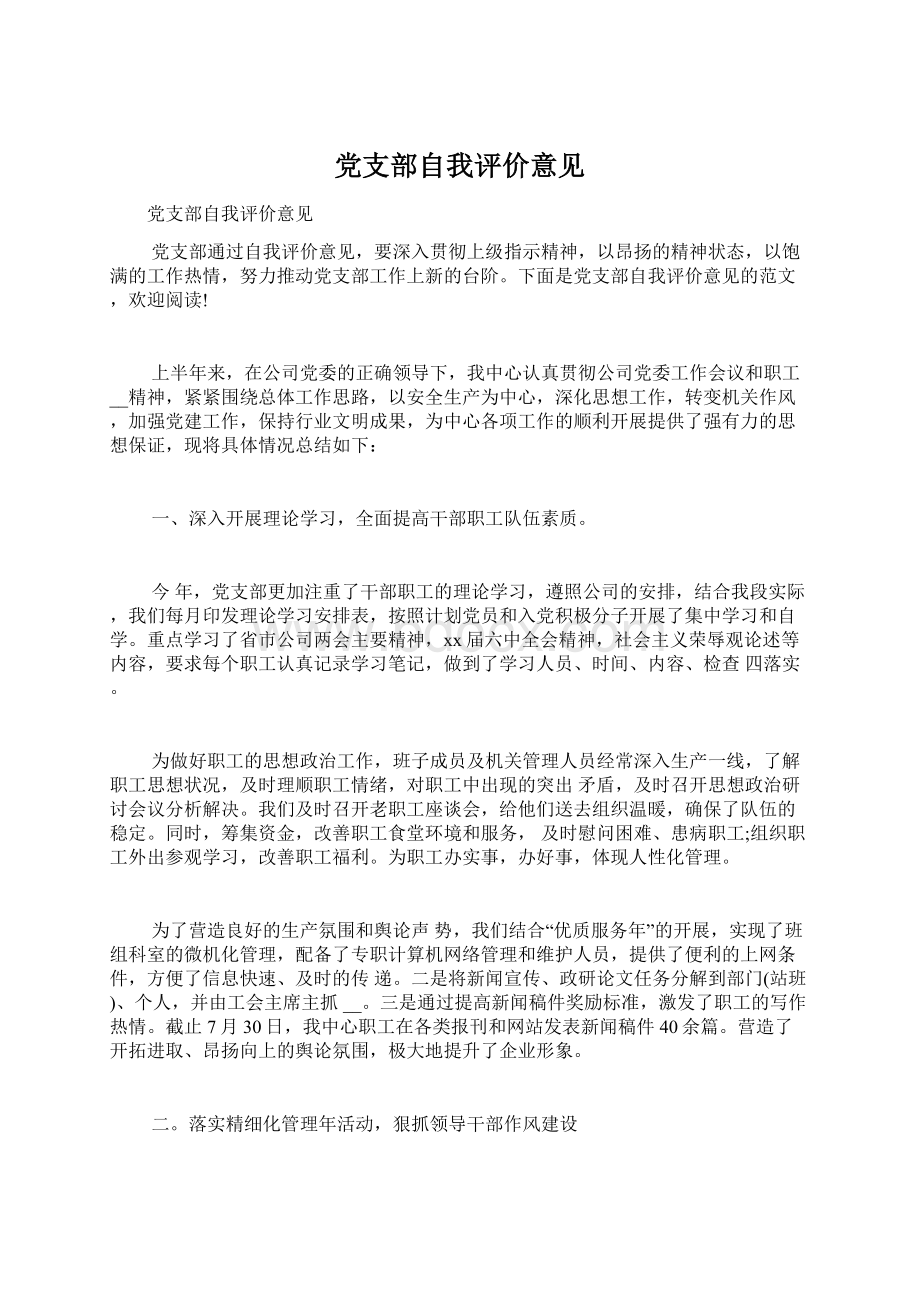 党支部自我评价意见.docx