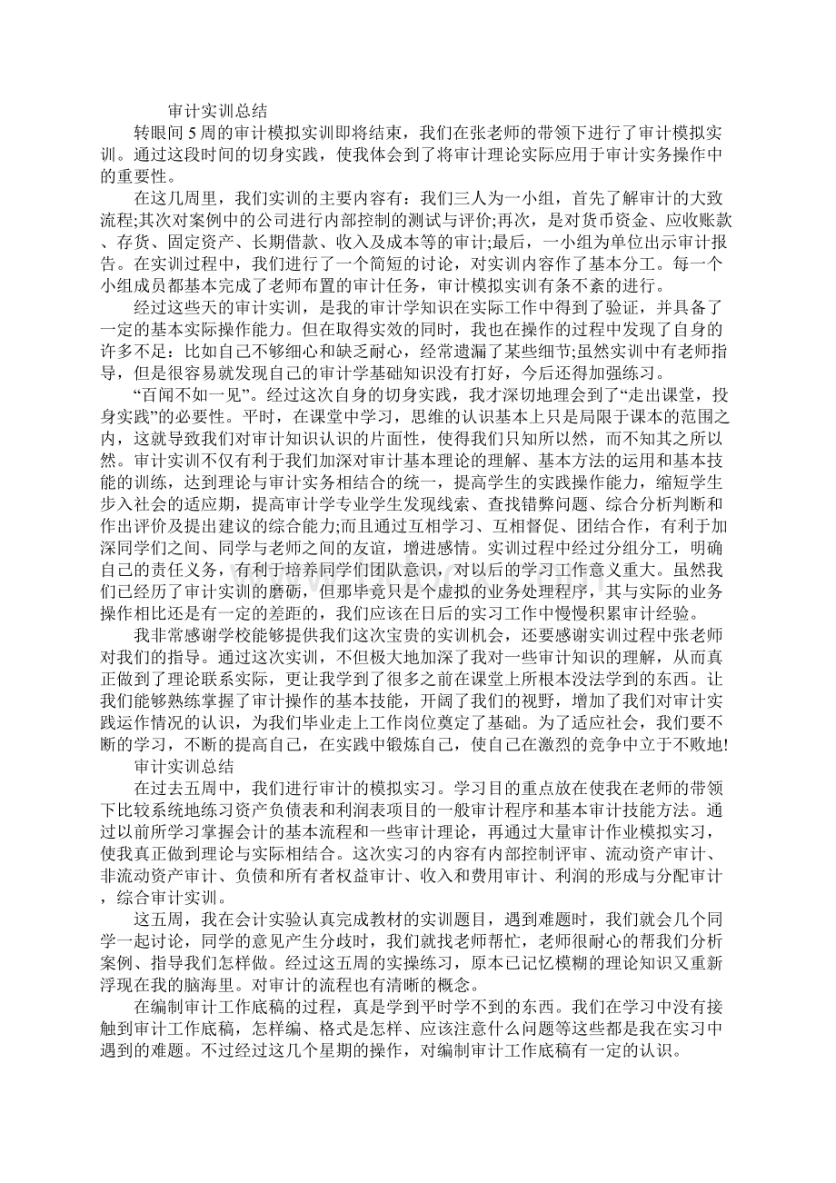 审计实训报告范本精选5篇.docx_第2页