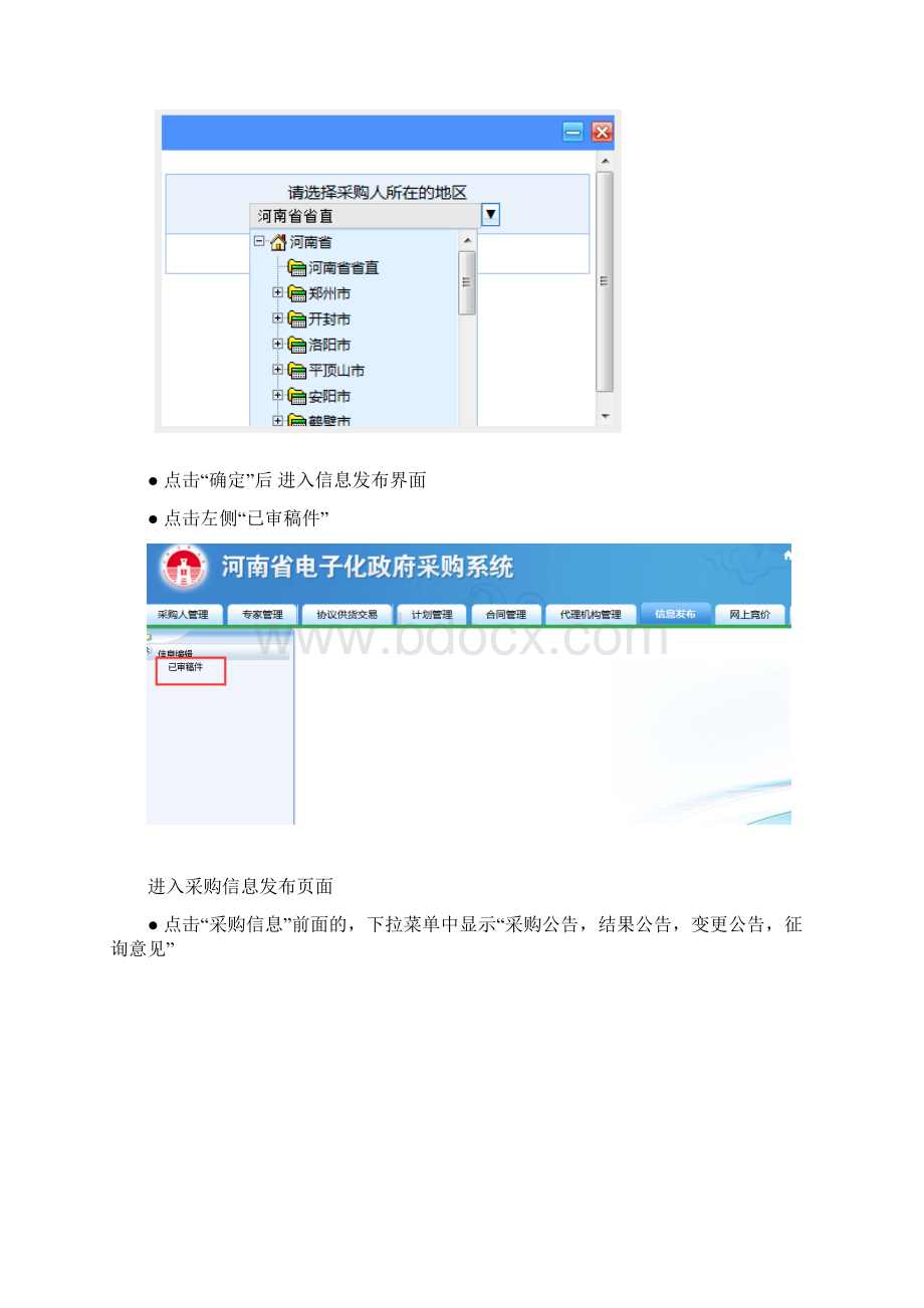 电子化政府采购操作手册范本文档格式.docx_第2页