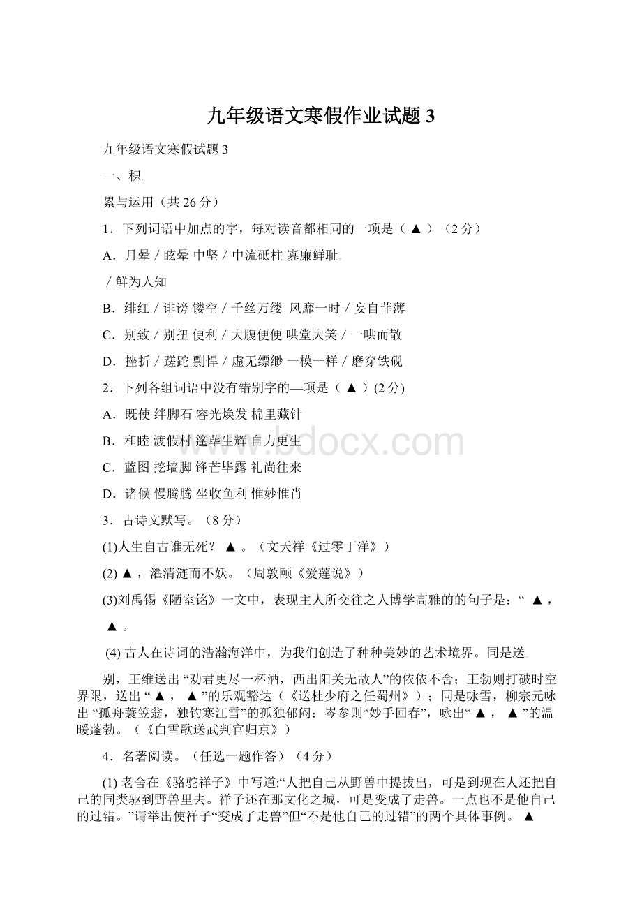 九年级语文寒假作业试题3Word文件下载.docx_第1页