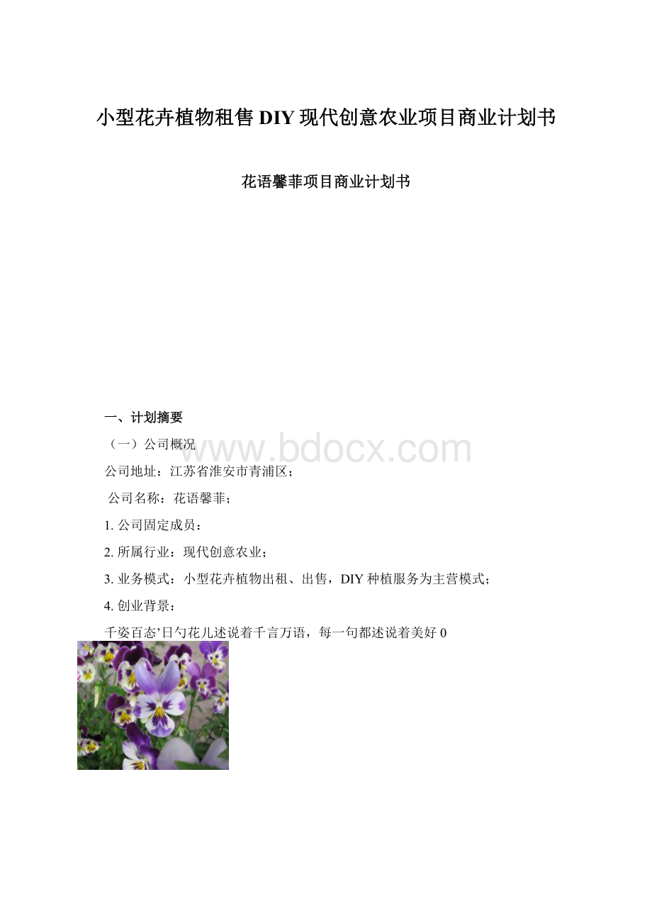 小型花卉植物租售DIY现代创意农业项目商业计划书Word文件下载.docx