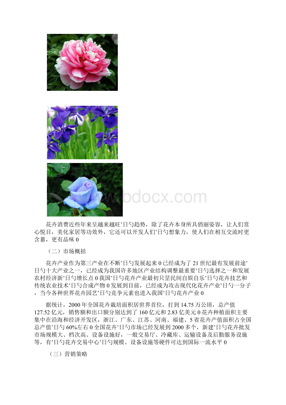 小型花卉植物租售DIY现代创意农业项目商业计划书Word文件下载.docx_第2页