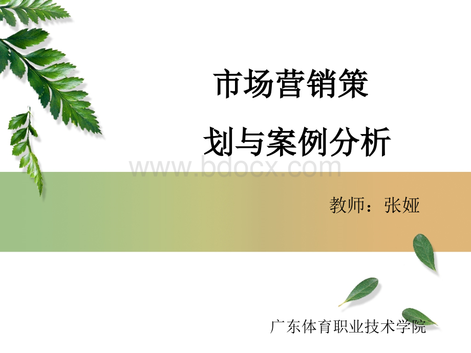 市场营销策划与案例分析PPT文档格式.ppt_第1页