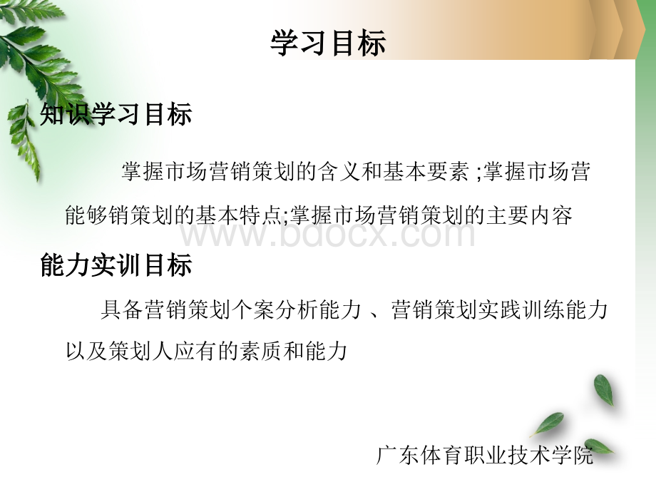 市场营销策划与案例分析PPT文档格式.ppt_第2页