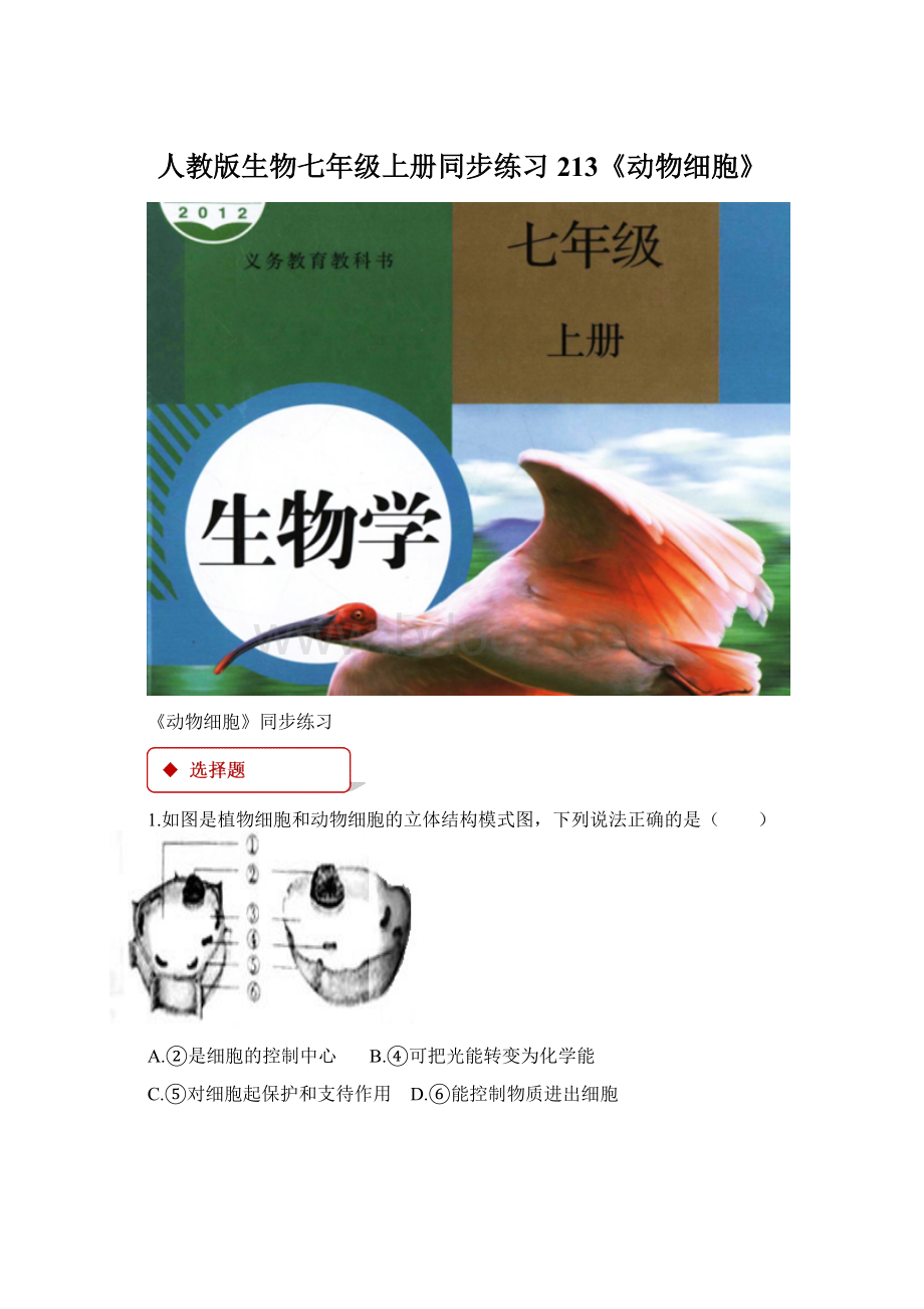 人教版生物七年级上册同步练习213《动物细胞》.docx_第1页