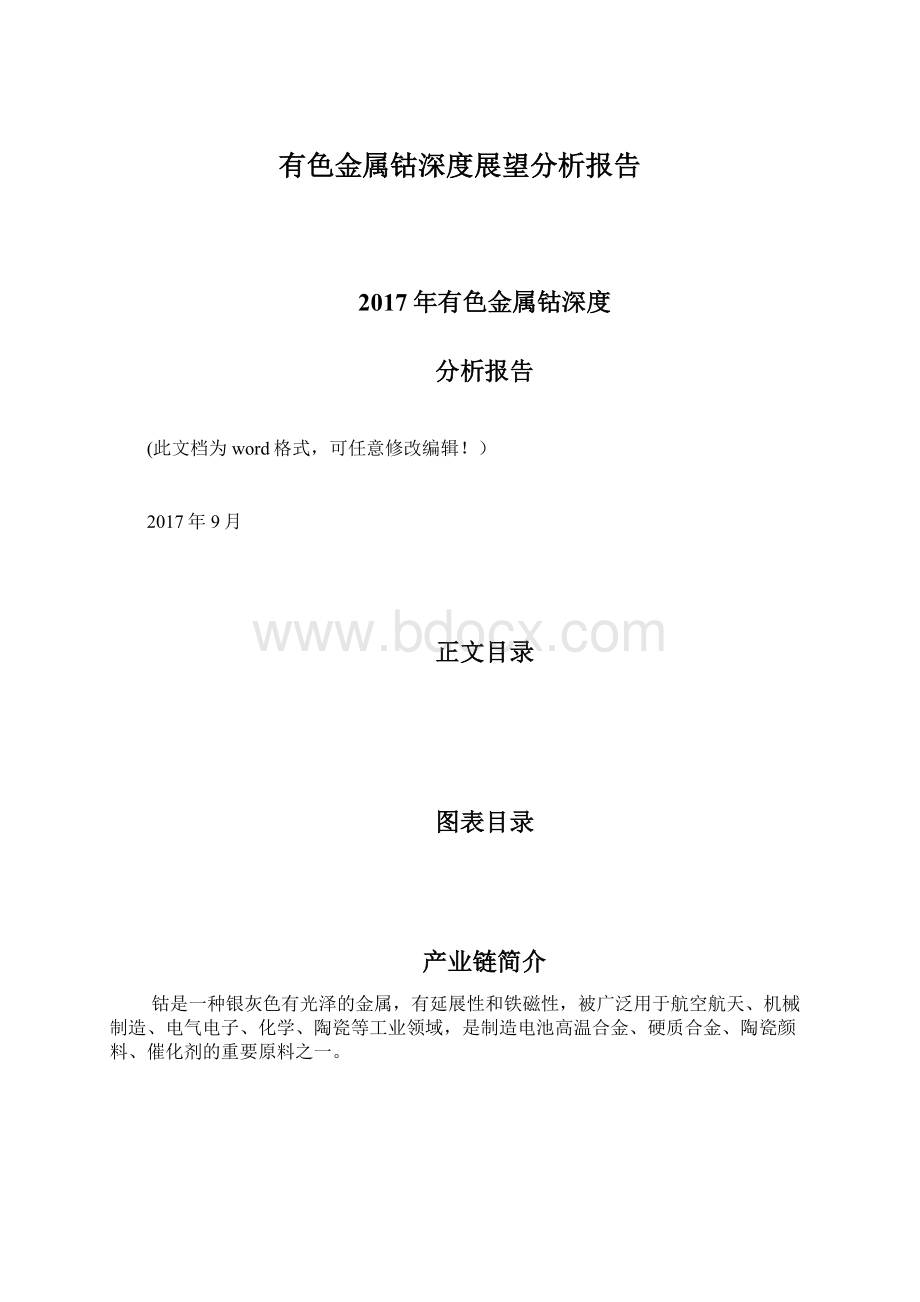 有色金属钴深度展望分析报告Word文件下载.docx