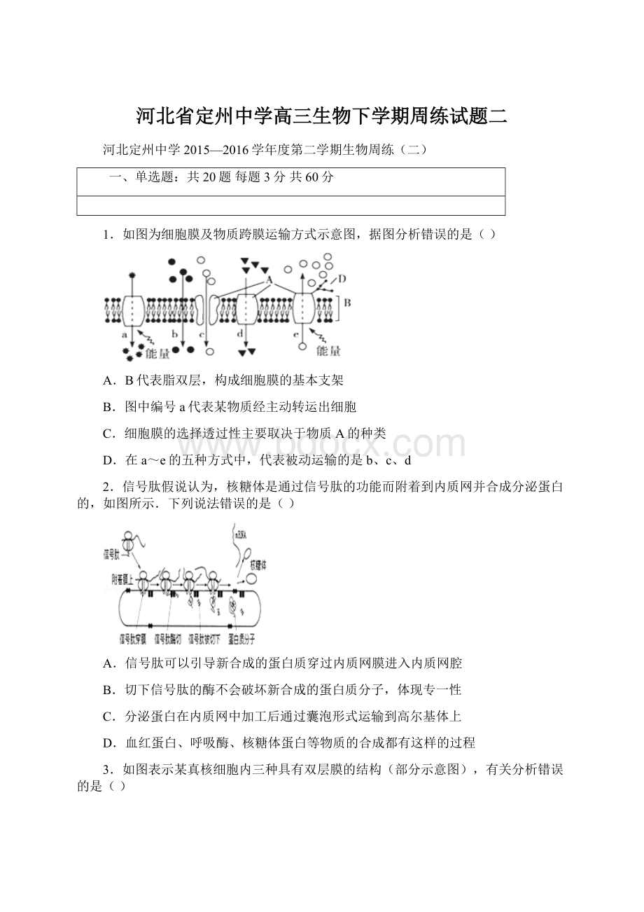 河北省定州中学高三生物下学期周练试题二Word格式.docx_第1页