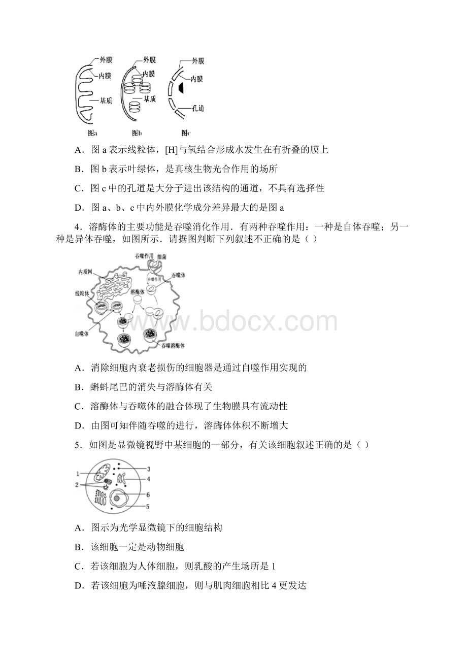 河北省定州中学高三生物下学期周练试题二Word格式.docx_第2页