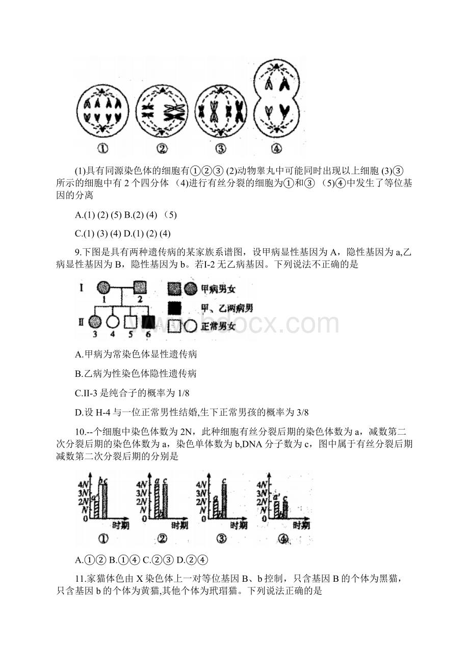 河南省濮阳市学年高二上学期期末考试生物试题A卷 Word版含答案Word下载.docx_第3页