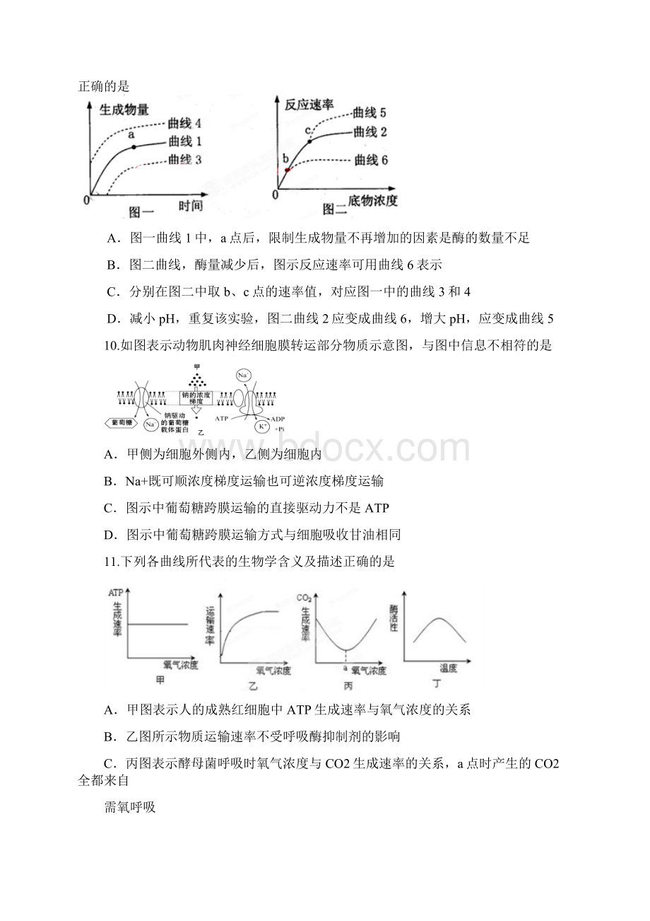 浙江省杭州市西湖高级中学届高三月考生物试题Word文档下载推荐.docx_第3页