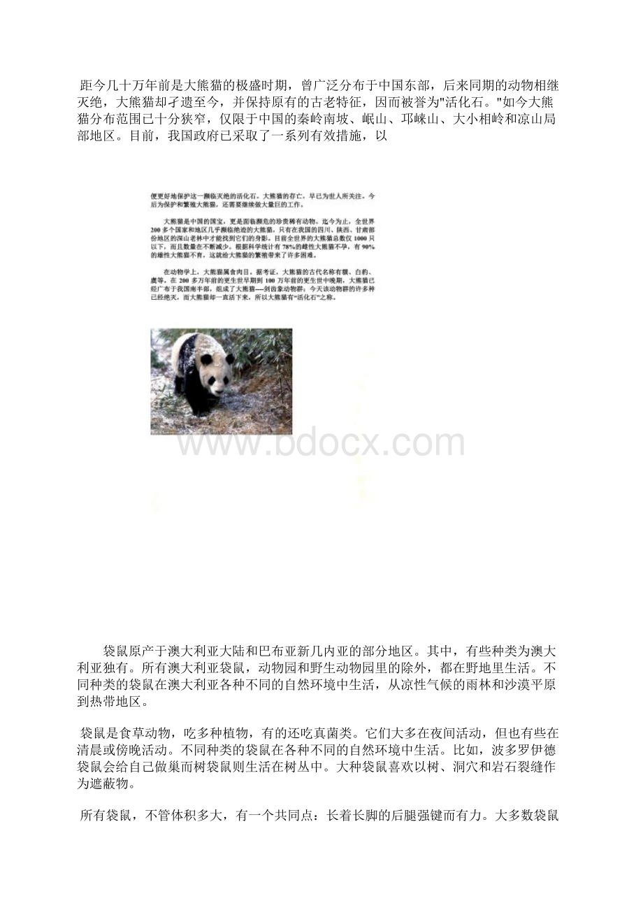 大熊猫生活习性.docx_第2页