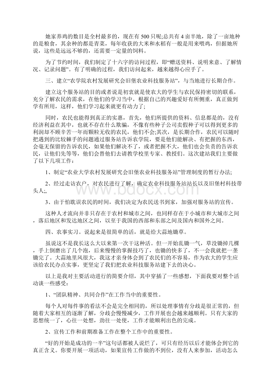 XX大学生寒假三下乡社会实践报告.docx_第3页