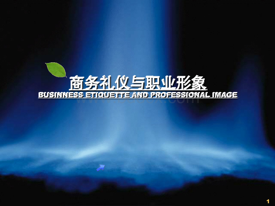 商务礼仪与职业形象[教材]优质PPT.ppt