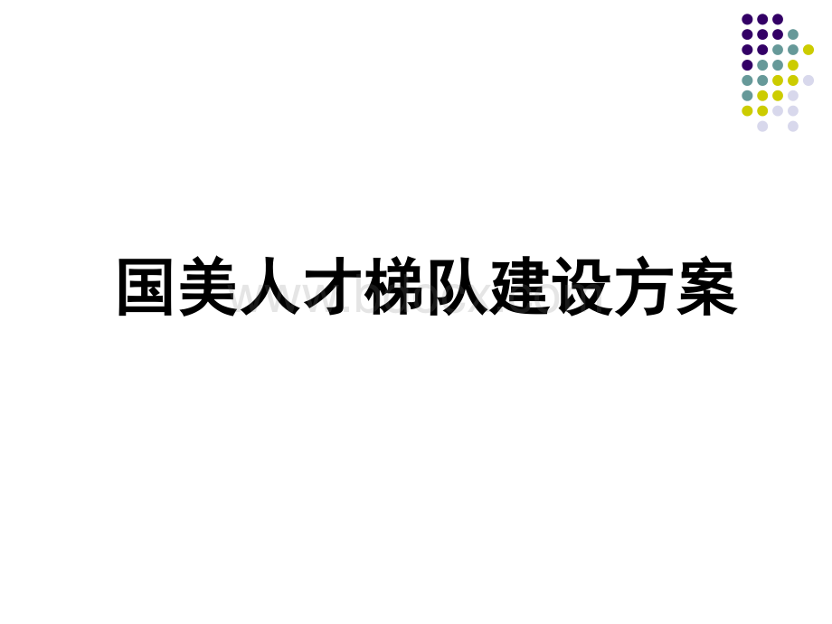 国美人才梯队建设精华方案.ppt