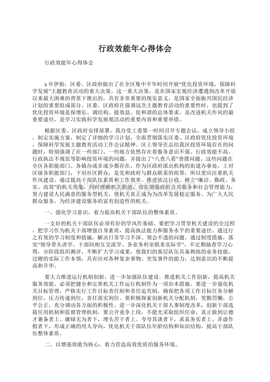 行政效能年心得体会.docx