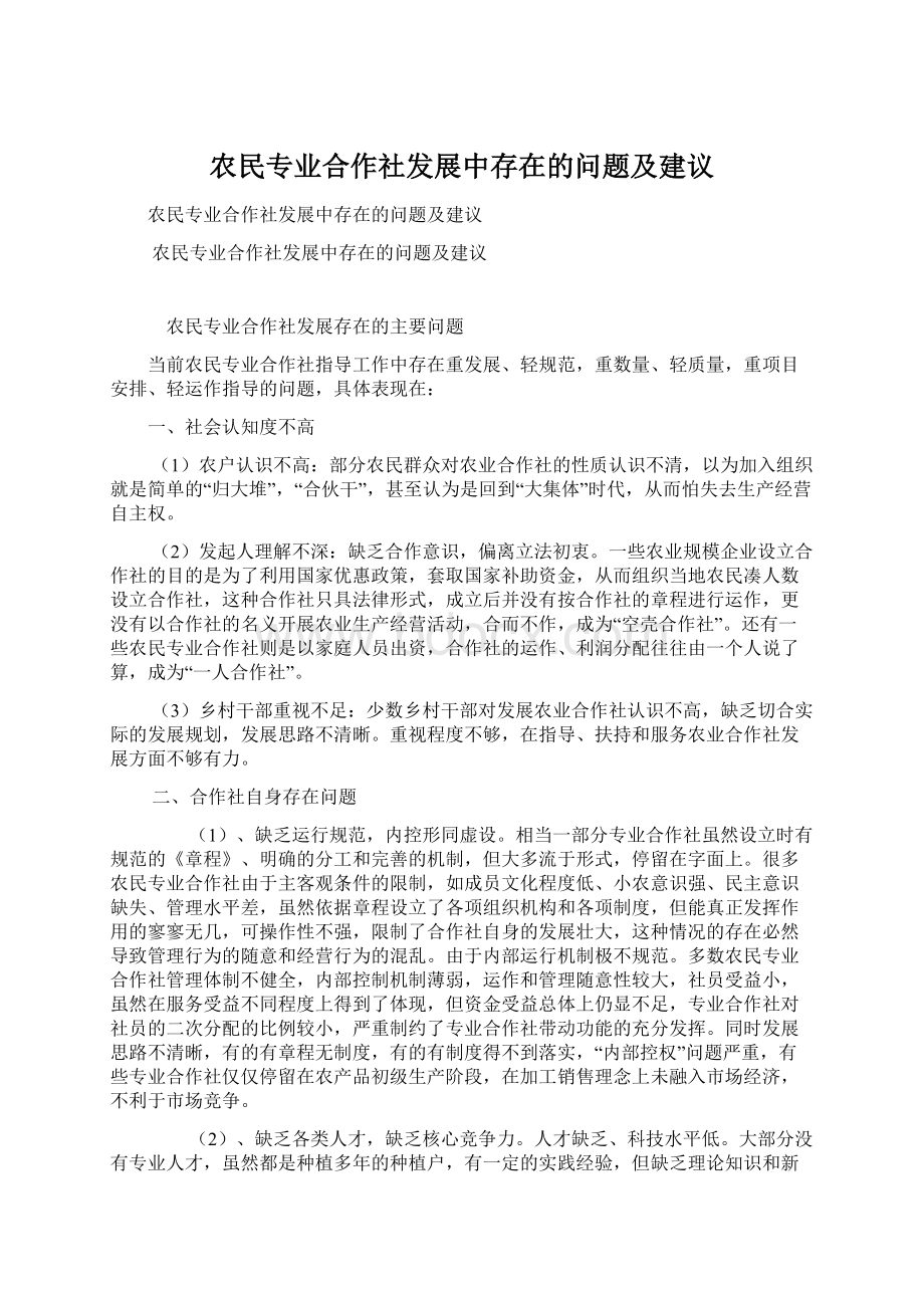 农民专业合作社发展中存在的问题及建议Word格式文档下载.docx