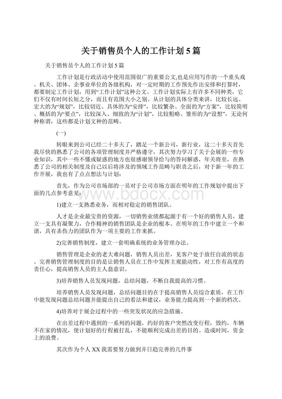 关于销售员个人的工作计划5篇Word格式文档下载.docx