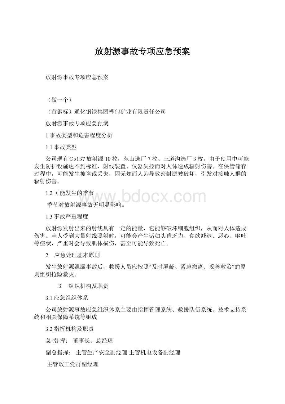 放射源事故专项应急预案Word格式文档下载.docx_第1页