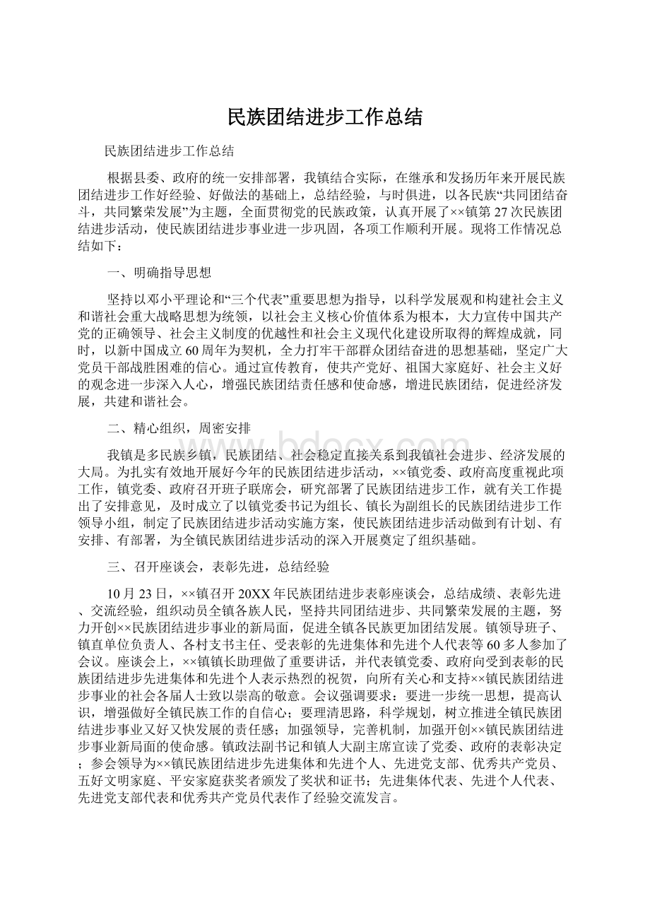 民族团结进步工作总结.docx