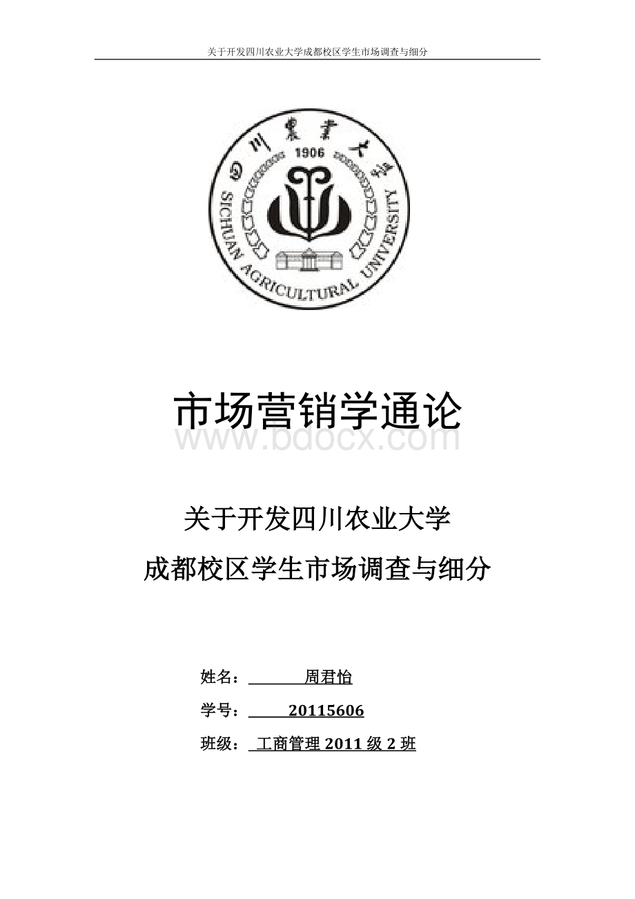 市场营销学报告市场细分Word文档格式.doc