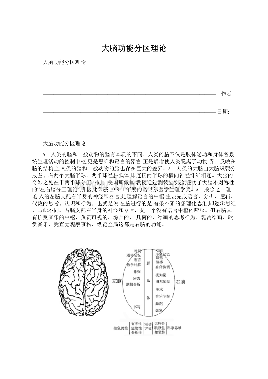 大脑功能分区理论.docx