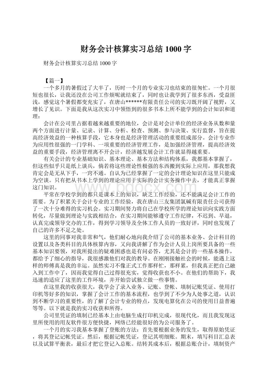 财务会计核算实习总结1000字.docx