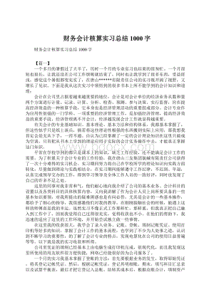 财务会计核算实习总结1000字.docx