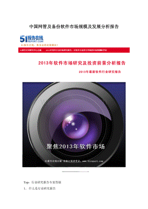 中国网管及备份软件市场规模及发展分析报告.docx