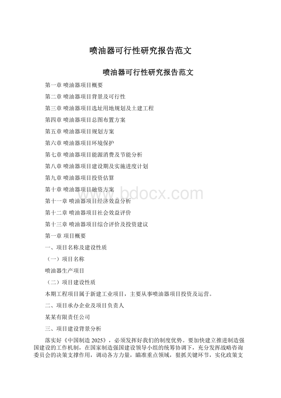 喷油器可行性研究报告范文.docx