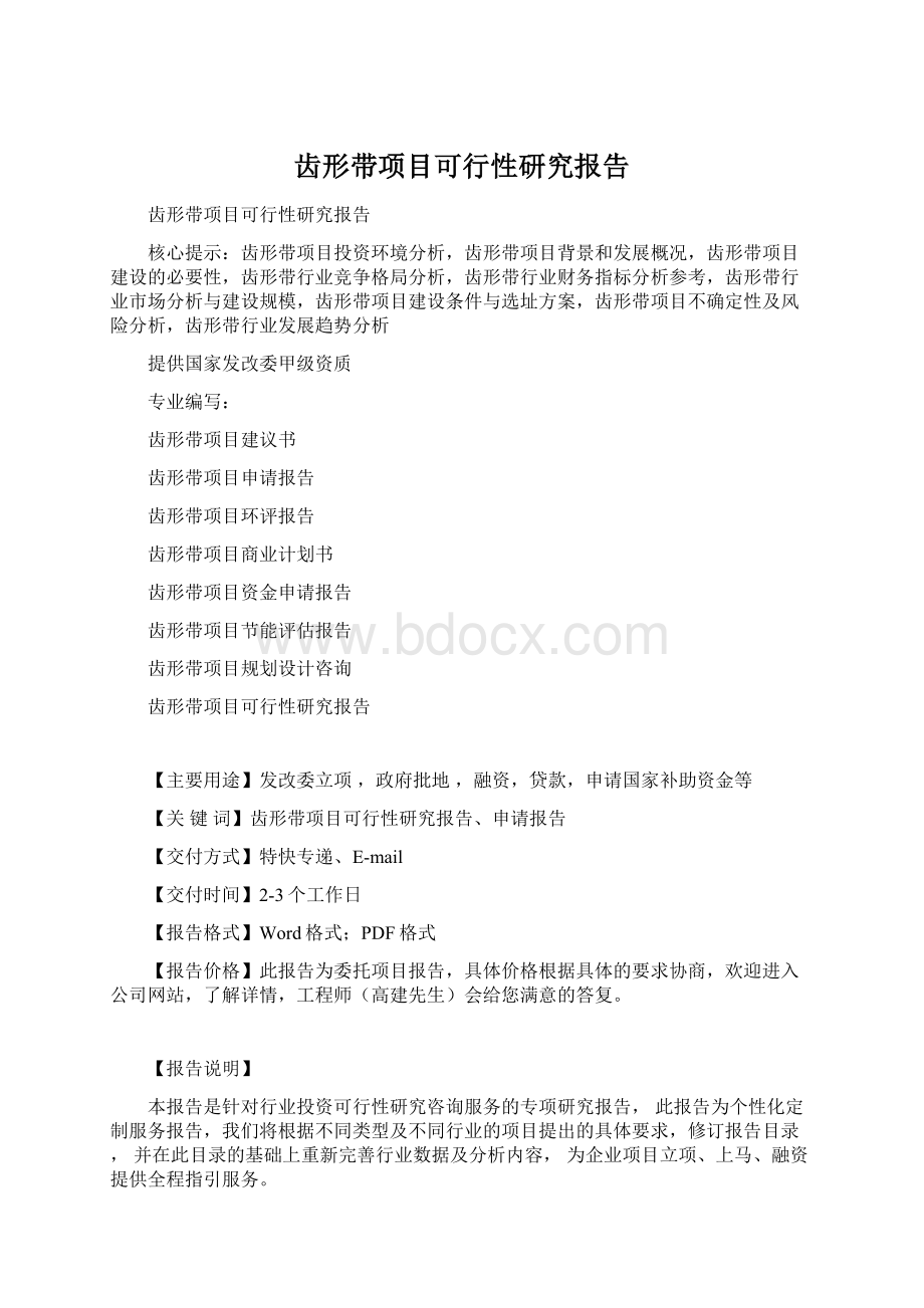 齿形带项目可行性研究报告Word格式文档下载.docx