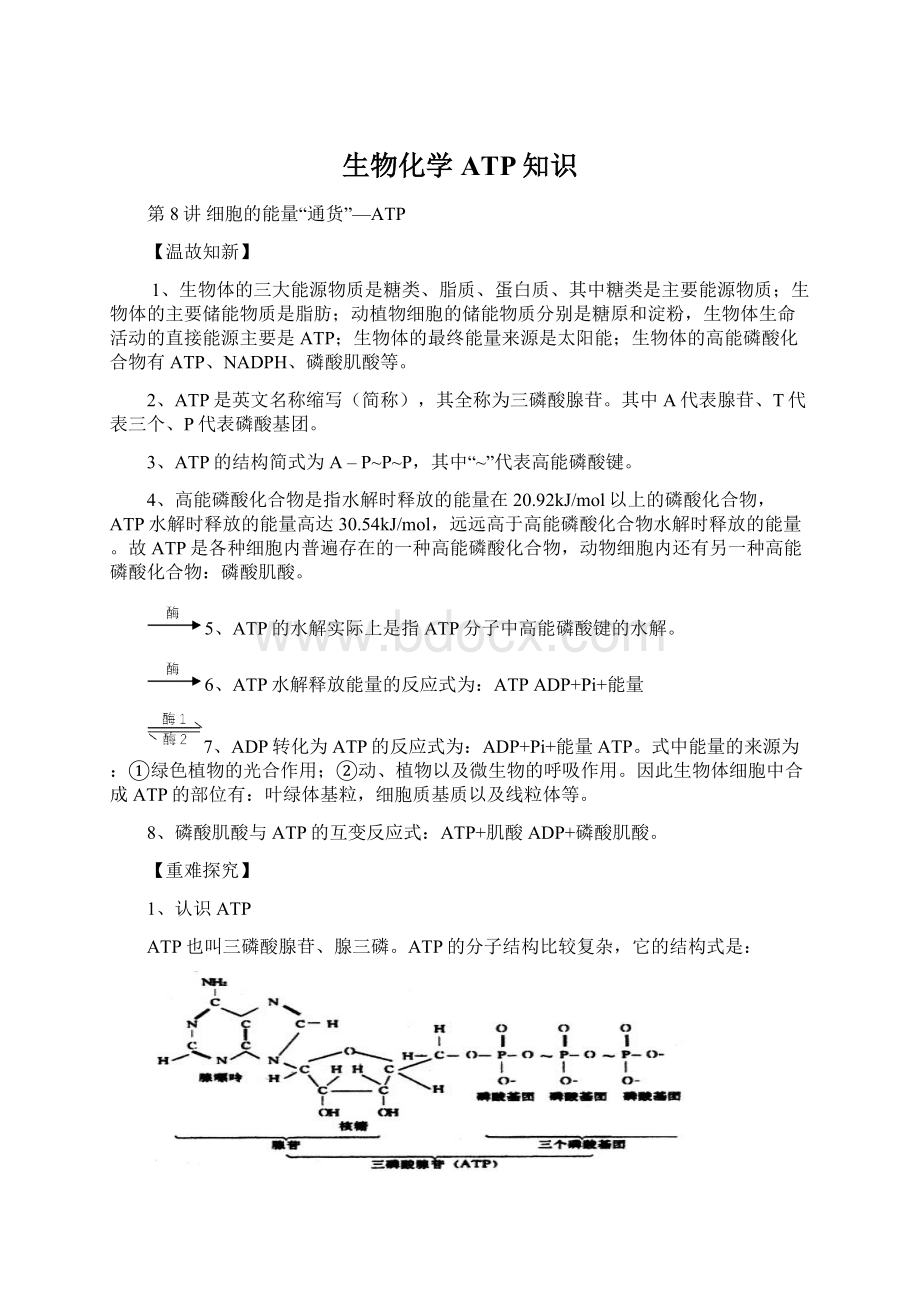 生物化学ATP知识.docx_第1页