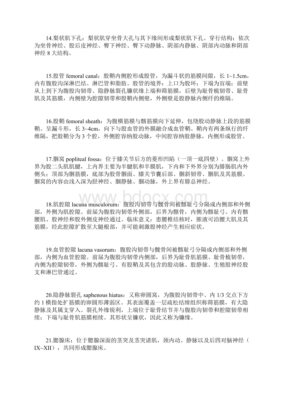 局部解剖名词解释完整版文档格式.docx_第3页